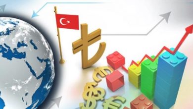 türkiye ekonomik faaliyetleri